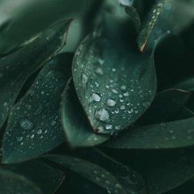 nước hoa lưu hương lâu